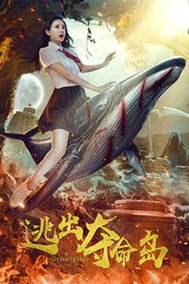 91视频一区二区