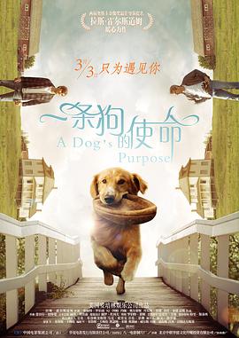 米椰子树