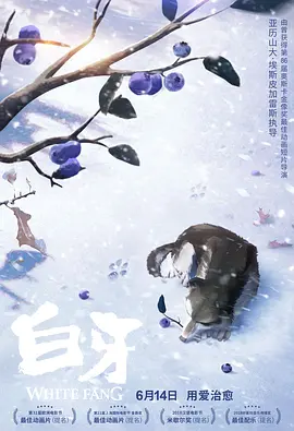 国产精品亚洲综合一区