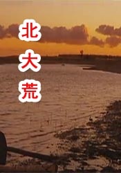 欧美8888av