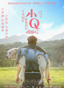 一级毛片免费视频