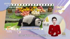 离家出走